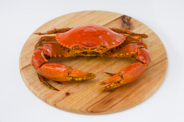 Live mud crab