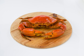 Live mud crab