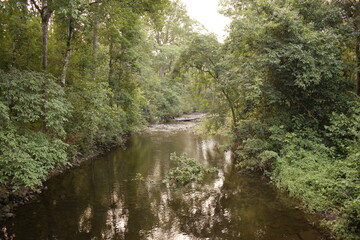 landscape view at chapramari wildlife sanctuary