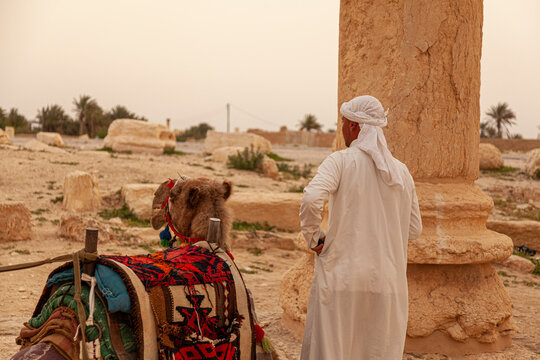  A local Arabic tour guide is standing by his dromedary camel by the ancient ruins of Palmyra in Syrian desert. He wears white ethnic clothes and camel has decorative saddle.