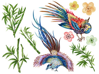 Hand painting watercolor illustrationinspired by phoenix bird asain chinese Korean and Japan kimono cherry sakura blossom Bamboo