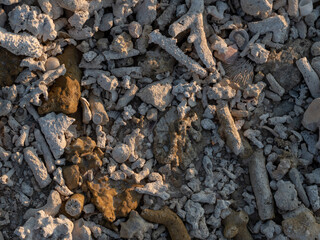 Coral reef surface on the earth ground