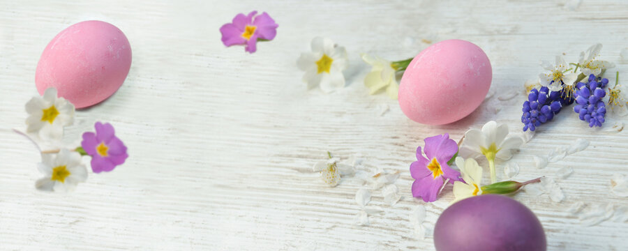 easter eggs painted in pink and purple on a table among spring flowers and petals