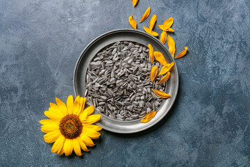 Plate with sunflower seeds on dark background