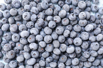Tasty frozen blueberry as background