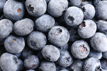 Tasty frozen blueberry as background