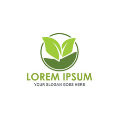 nature leaf vector , agriculture logo