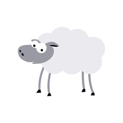 sheep in flat style. isolated 2d square vector