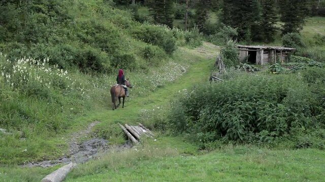 Elderly Woman Rides Horse. Village. Old Lady. Old Woman. Older Generation. Lives in Deaf Village in Taiga. Hermits. Went on Business to Neighboring Settlement. Tens of Kilometers. Dense Forest. Creek