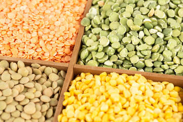 Collection of cereals and beans