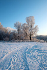 Obraz premium winter landscape in park
