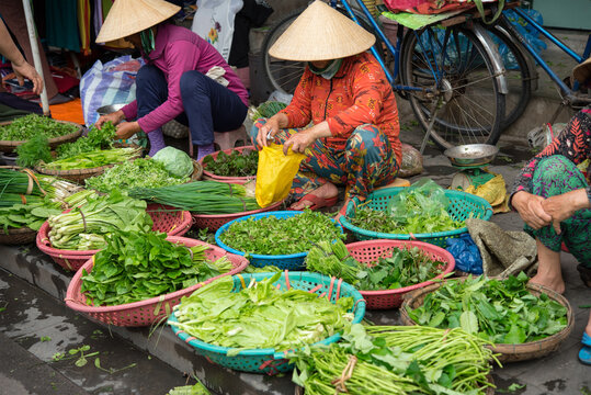 Vietnamese women selling vegetables at market in Hoi An　ベトナム・ホイアンの市場で野菜を売る女性達