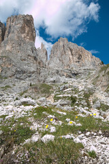 Fototapeta na wymiar Typical dolomites landscape in the summer season, Val di Fassa, Italy