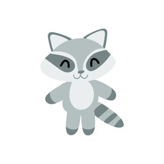 racoon kid on the white background