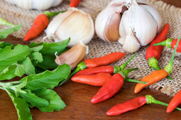 garlic ,pepper and basil fresh vegetable  prepare to cook arrangment fla lay style on background wooden