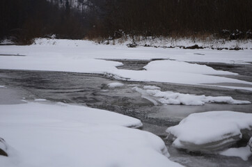 mountain river in wintertime. carpathian landscape with spruce forest and snow covered shore ukraine