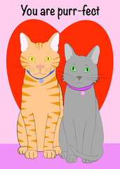 Illustration drawing one male orange tabby and one grey tabby sitting side by side in front of a giant red heart on a red background with purple floor. You are purr-fect text for Valentine's Day.