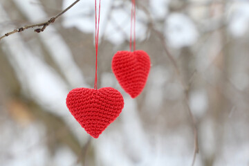 Love hearts hanging on a tree branch in winter forest. Two red knitted symbols of Valentine's day in sunlight, background for holiday