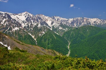 Fototapeta premium 北アルプス白馬三山 新緑の季節 