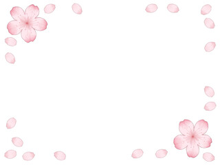 桜の花と花びらのイラストフレーム デッサン風の線画と水彩風の塗り
