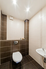 Russia, Moscow- April 22, 2020: interior room apartment modern bright cozy atmosphere. general cleaning, home decoration, preparation of house for sale. modern bathroom, sink, decor elements, toilet