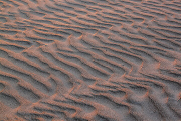 close up of ripples in the sand at sunset © Barbara