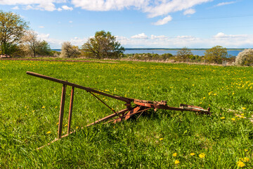 Old plough lying in the grass on meadow