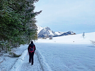 Hikers and walkers on the beautiful idyllic fresh snow of the Churfirsten mountain range and in the...