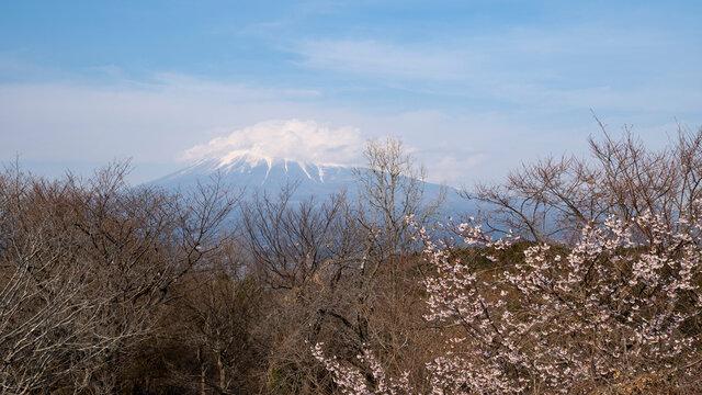 571 件の最適な 本山 画像、ストック写真、ベクター | Adobe Stock