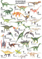 Watercolor dinosaur alphabet Each dinosaur is for each lettern for English Alphabet ABC kids poster Nursery wall art Watercolor painting Children play room decor A3 size 300 dpi rgb color mode © Liudmila
