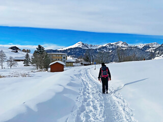 Hikers and walkers on the beautiful idyllic fresh snow of the Churfirsten mountain range and in the...
