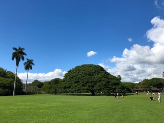 Fototapeta na wymiar Moanalua Gardens