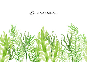 Hand-painted watercolor seamless border with seaweed. Algae of different types in shades of green. Illustration of underwater plants. Isolated on a white background