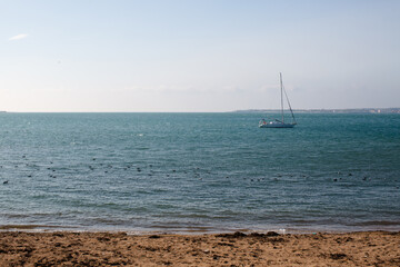 Fototapeta premium Yacht at sea sailing along the coast