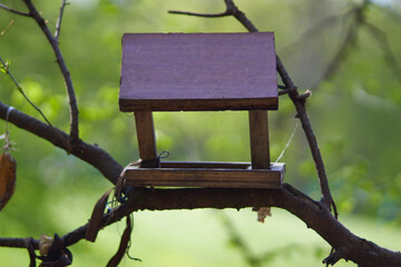 Naklejka premium Birdhouse for birds in the Park