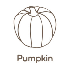 
Hand drawn black and white pumpkin isolated on white background. Vector illustration in sketch style