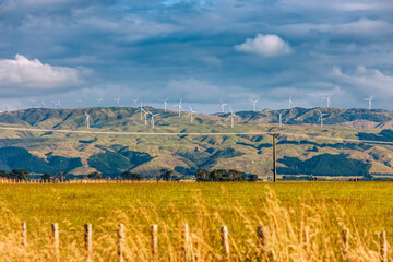 Wind farm behind field