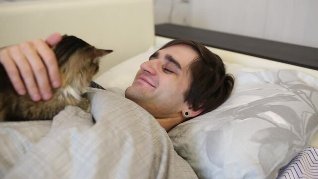 The cat wakes up the man of its owner with a paw, asleep in bed