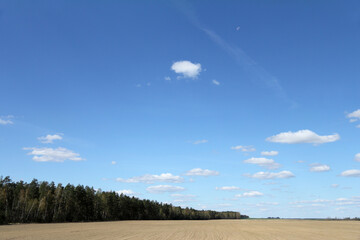 clouds and blue sky over a plowed field next to the forest. spring rural landscape