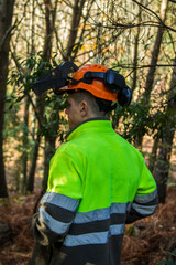 forest worker wearing protective helmet in the forest