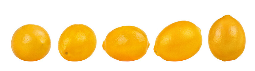 Lemon collection isolated on white background.