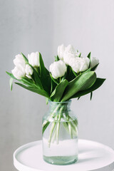 White peony tulips in a vase on the table