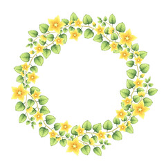 Watercolor floral wreath. Illustration of twopenny grass with golden flowers. Round frame of moneywort. Meadow wild herb.