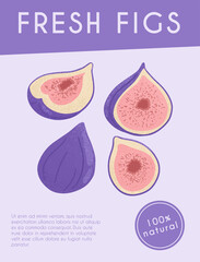 Fresh figs card design. Sweet figs fruit on branch with leaves vector hand drawn poster concept.