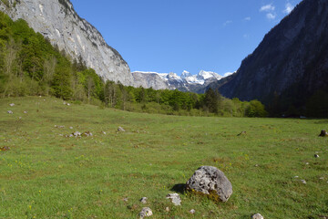 landscape in the mountains