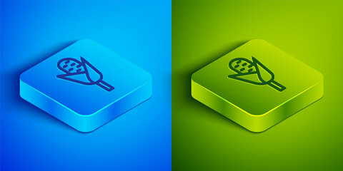 Isometric line Corn icon isolated on blue and green background. Square button. Vector.