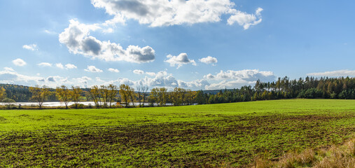 Fototapeta na wymiar field in front of trees and empty pond near Sytno