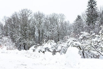 Winter withs snow in Lithuania