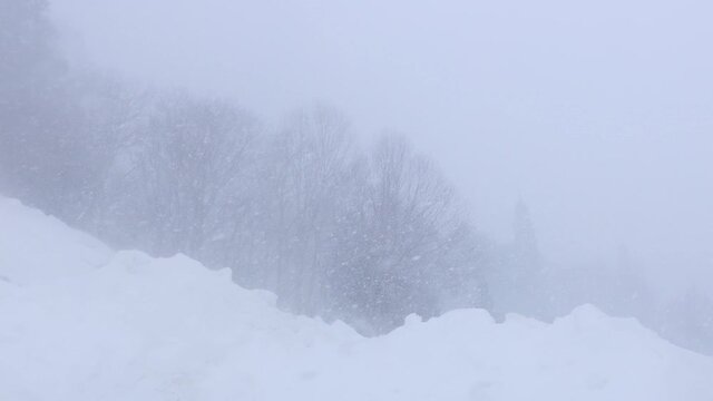 山中の猛吹雪