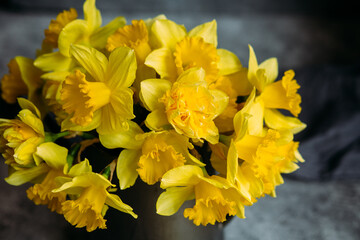 Bouquet of yellow daffodils on a dark background